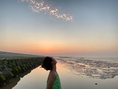 -南汇嘴观海公园