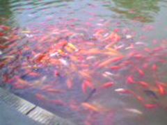 -湖南烈士公园(芙蓉区)