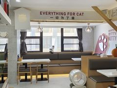 -喵园·猫主题咖啡厅·撸猫·猫咖(国贸店)