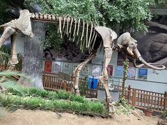 -中国第四纪冰川遗迹陈列馆