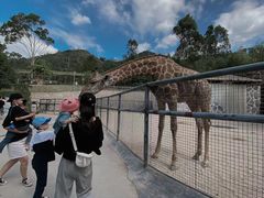 -泉州海丝野生动物世界