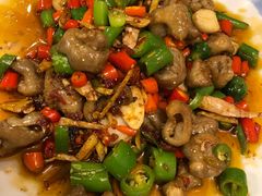 双椒肥肠-百年粉蒸牛肉