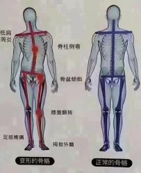点击看大图 -昕孕瑜伽·孕妇瑜伽·产后修复