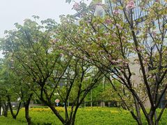 -上海虹桥西郊假日酒店