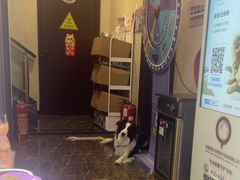 -宠爱国际动物医院·疑难骨科·心肾内科·皮肤科(太阳宫店)