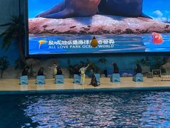 -泉城欧乐堡海洋极地世界