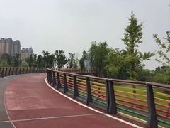 -府河摄影公园