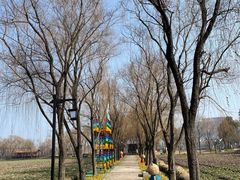 -长兴太湖图影湿地文化园