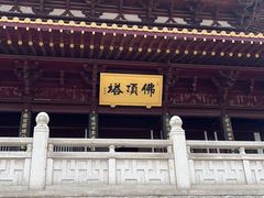 -牛首山文化旅游区