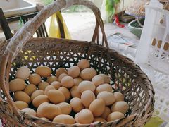 -马陆小张葡萄园农家乐