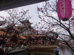 -宝墨园景区