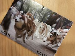 -TrueLove @ Neverland (Husky Cafe)