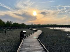 -西青郊野公园