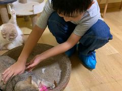 -Meowの猫咖(万家丽店)