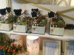 -花未央花店·WEYOUNG