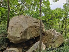 -大岭沟猕猴桃谷风景区