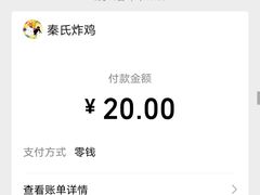 -秦氏环球炸鸡(解放北路店)