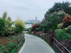 -顺峰山公园