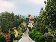 -紫鹊界梯田景区