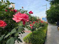 -木塔寺遗址生态公园