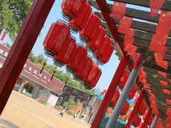 -光明农场大观园