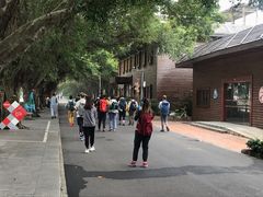 -大湾区中央湿地公园
