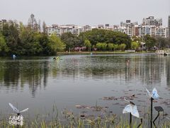 -新江湾城公园
