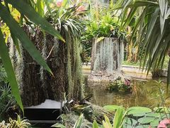 -北京植物园-展览温室