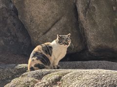 -崂山巨峰游览区