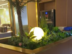 -宏宴·新京菜(望京店)