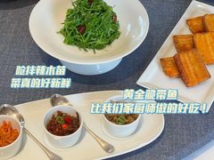 呛拌辣木苗-荣府宴(南阳路店)