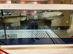 -白玉兰酒店(上海田子坊马当路地铁站店)