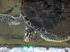 -鸿通城购物中心