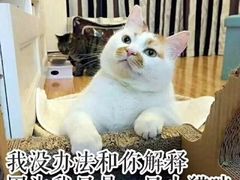 -卢庄(江汉路店)