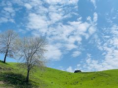 -新疆那拉提国家旅游度假区