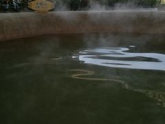 -南宫温泉水世界