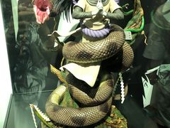 -火影忍者动画多媒体展