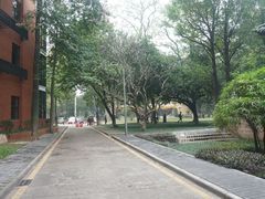 -中山大学学者灵芝(园南路店)