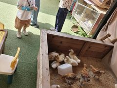 -HERRE·FARM 赫尔露营农场·团建聚会包场