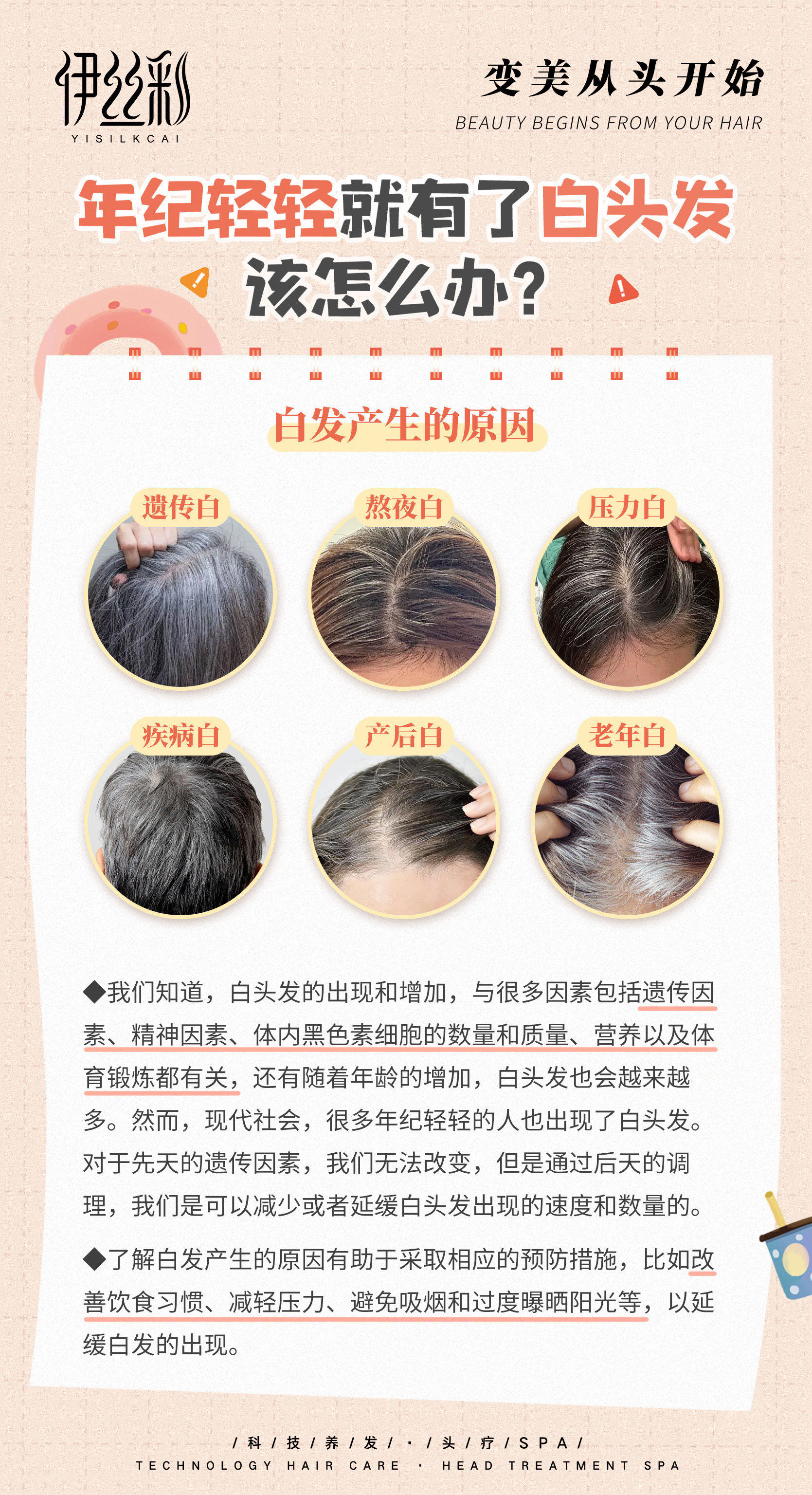 白头发为什么不能拔