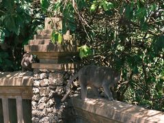-乌鲁瓦图寺