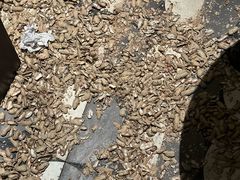 -Long Bar(莱佛士酒店)