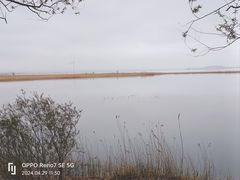 -野鸭湖国家湿地公园