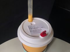 -野萃山·潮汕厚果汁(十亩地店)