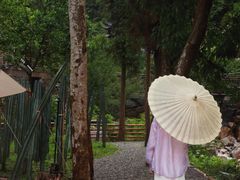 -MOJ coffee(瓯海泽雅水碓坑店)