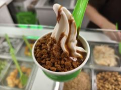 -Salud撒露欧洲冻酸奶(五道口购物中心店)