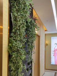 -芳朵美容养生SPA