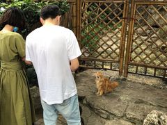 -静安公园(静安寺街道)