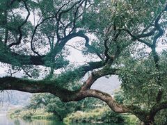 -上坦村