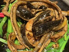 砂锅黑椒鳝丝-海立阁海鲜江浙菜(漕河泾印象城店)